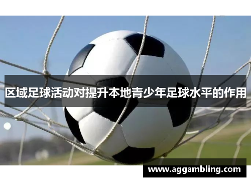 区域足球活动对提升本地青少年足球水平的作用