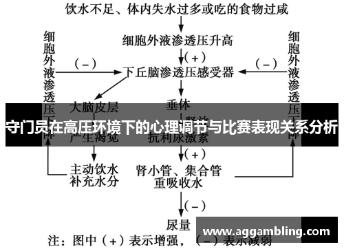 守门员在高压环境下的心理调节与比赛表现关系分析